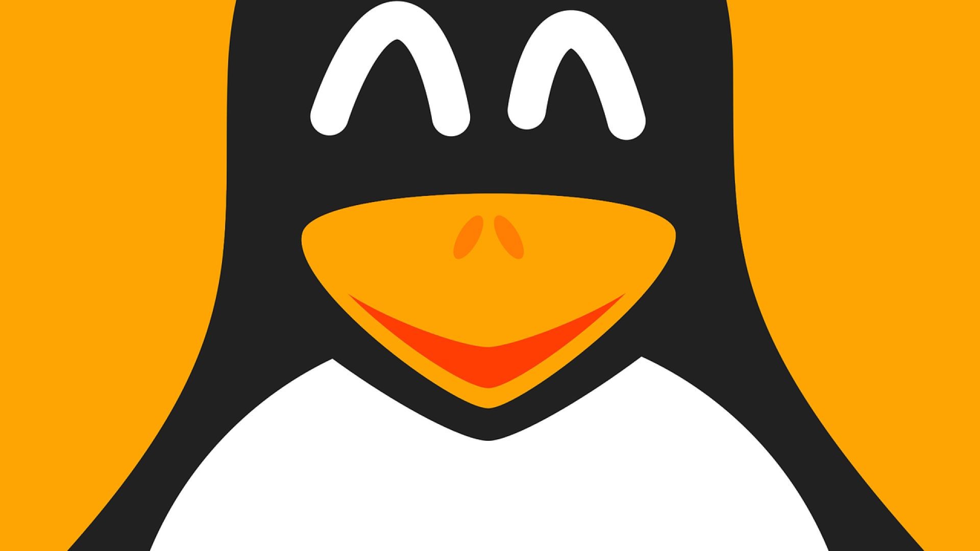Linux Play (Dispositivo/Xampp)